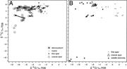 Third thumbnail for: Cement Geochemistry of Photozoan Carbonate Strata ...