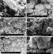 Third thumbnail for: Development of Magnesian Carbonates in Quaternary ...