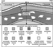 Second thumbnail for: Seismogenic Deformation Structures in Microbialite...