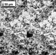 Third thumbnail for: Observation of Microbial Structures in Rocks Using...
