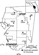 Second thumbnail for: The Relative Roles of Compaction and Early Cementa...
