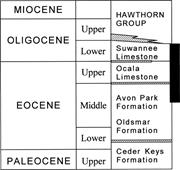 Third thumbnail for: The Relative Roles of Compaction and Early Cementa...