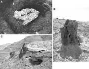 Third thumbnail for: Petrography and Geochemistry of Floodplain Limesto...