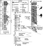 Second thumbnail for: Oriented Clastic Dike Swarms as Indicators of Pale...