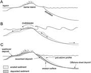 First thumbnail for: Process-Response Modeling of Wave-Dominated Coasta...