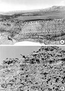 Third thumbnail for: Braided-River Deposits in A Muddy Depositional Set...