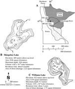 First thumbnail for: The Lacustrine Carbon Cycle as Illuminated by the ...