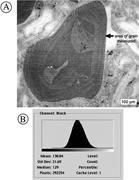 Second thumbnail for: Is Quartz Cathodoluminescence Color a Reliable Pro...