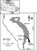 First thumbnail for: Using Magnetic Resonance Imaging and Petrographic ...