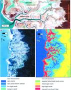 Second thumbnail for: Spatial Patterns of Sediment Accumulation on a Hol...