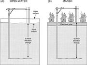 First thumbnail for: High-Precision Measurements of Wetland Sediment El...