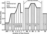 Second thumbnail for: Sediment Supply-Limited Bedforms in Sand-Gravel Be...