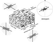 Second thumbnail for: Preferred Clast Orientation in Volcaniclastic Mass...