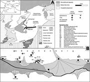 First thumbnail for: Carbonate Speleothems in the Dry, Inneralpine Vins...