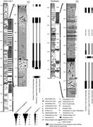 Second thumbnail for: Ichnology and Sedimentology Reveal Depositional Ch...