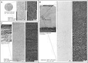 First thumbnail for: Assessing Textural Variation in Laminated Sands Us...