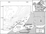 First thumbnail for: Combined-Flow Processes and Sedimentary Structures...