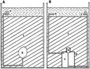 First thumbnail for: Conical Sedimentary Structures, Trace Fossils or N...