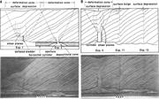 Third thumbnail for: Conical Sedimentary Structures, Trace Fossils or N...