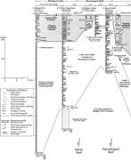 Second thumbnail for: Integrating Sandstone Petrology and Nonmarine Sequ...