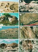 Second thumbnail for: Calcite-Cemented Concretions in Cretaceous Sandsto...