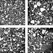 First thumbnail for: Information on Grain Sizes in Gravel-Bed Rivers by...