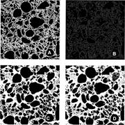 Second thumbnail for: Information on Grain Sizes in Gravel-Bed Rivers by...