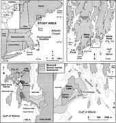 Second thumbnail for: High-Resolution Subsurface (GPR) Imaging and Sedim...
