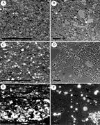 Second thumbnail for: Maximizing Information from Fine-Grained Sedimenta...