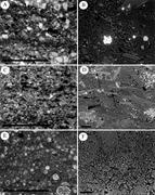 Third thumbnail for: Maximizing Information from Fine-Grained Sedimenta...