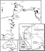 First thumbnail for: Deepening-Upward Subtidal Cycles, Murray Basin, So...