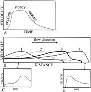 First thumbnail for: The Interpretation of Vertical Sequences in Turbid...