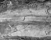 Second thumbnail for: The Interpretation of Vertical Sequences in Turbid...