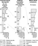Second thumbnail for: Paleoenvironmental Controls on Upper Eocene Biosil...