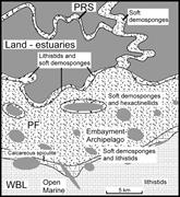Third thumbnail for: Paleoenvironmental Controls on Upper Eocene Biosil...