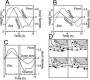 Third thumbnail for: High-Resolution Seismic Stratigraphy of a Narrow, ...