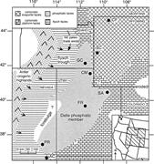Second thumbnail for: Organic Carbon Burial and Phosphogenesis in the An...