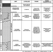 Second thumbnail for: Petrography of Finely Crystalline Cenozoic Dolosto...