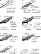 Third thumbnail for: Sequence Stratigraphy in Lacustrine Basins: A Mode...