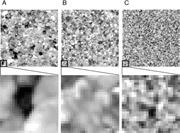 First thumbnail for: A Simple Autocorrelation Algorithm for Determining...