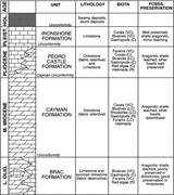 Second thumbnail for: Petrography and Significance of Zoned Dolomite Cem...