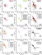 Third thumbnail for: Water Content of Opal-A: Implications for the Orig...