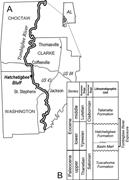 First thumbnail for: Intra-Annual Isotopic Variation in Venericardia Bi...