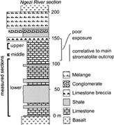 Second thumbnail for: Shallowing-Upward Carbonate Cycles in the Belingwe...