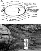 Third thumbnail for: Origin of Shale Fabric by Mechanical Compaction of...