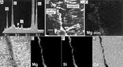 Second thumbnail for: Microbialite Formation in Seawater of Increased Al...