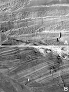Third thumbnail for: Deltaic Infill of a Deglaciated Arctic Fjord, East...