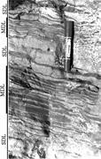 Third thumbnail for: Influences of Storm Erosion and Deposition on Rhyt...