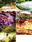 Second thumbnail for: Morphologic and Mineralogic Transitions From Opal-...