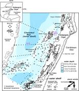 First thumbnail for: Sediments, Facies Tracts, and Variations in Sedime...